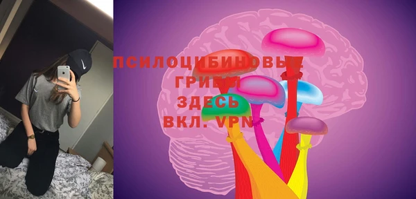 тгк Гусев