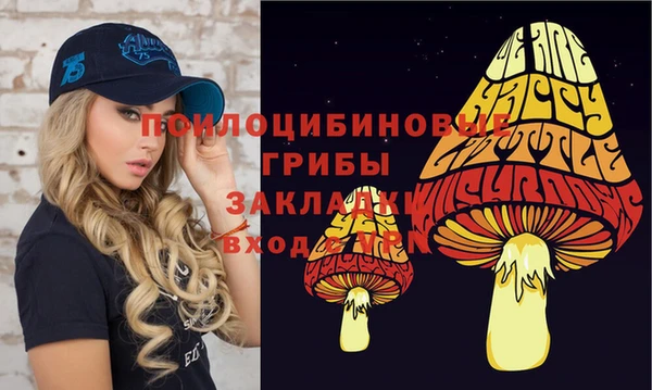 тгк Гусев