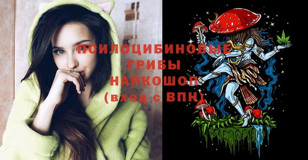 эйфоретик Гусь-Хрустальный