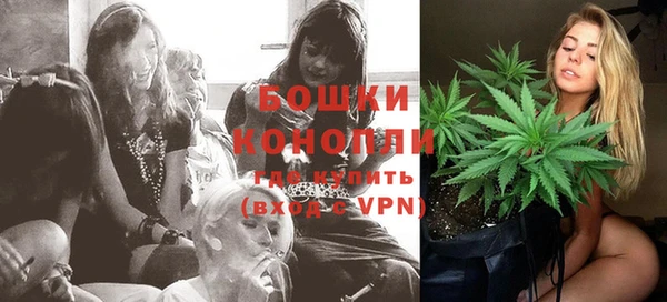 тгк Гусев