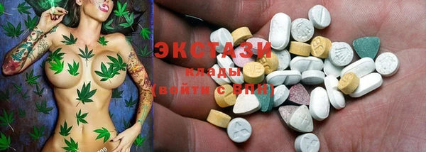 эйфоретик Гусь-Хрустальный