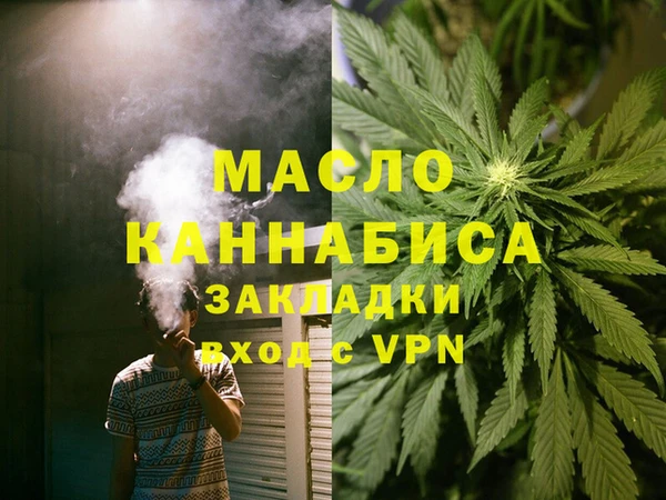 тгк Гусев