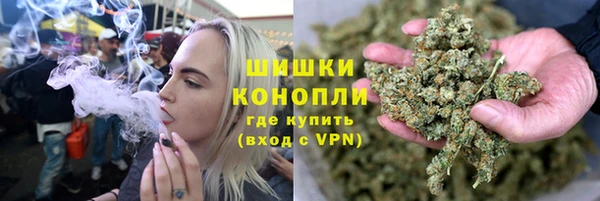 стаф Горняк