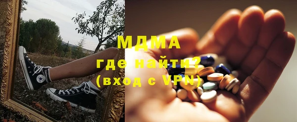эйфоретик Гусь-Хрустальный